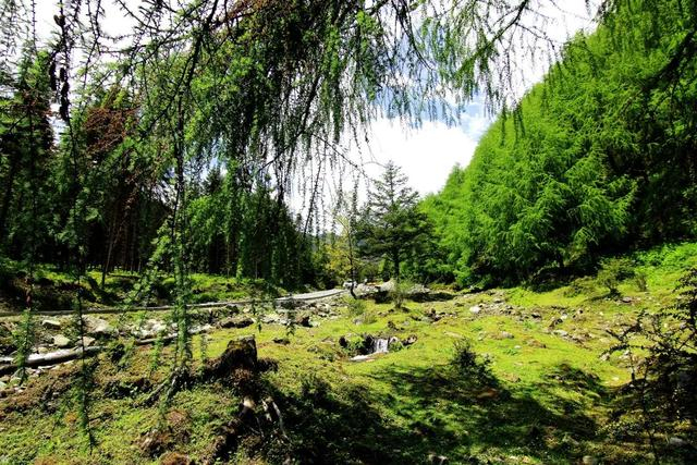 四川版独库公路！成都出发2天往返，邂逅草原野花、雪山云海美景