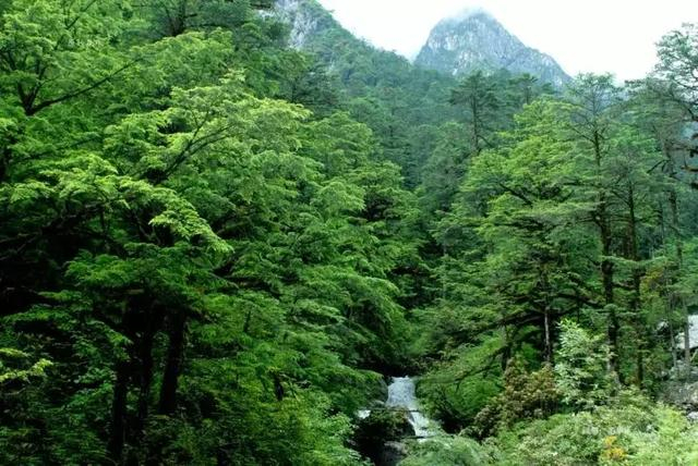 四川版独库公路！成都出发2天往返，邂逅草原野花、雪山云海美景