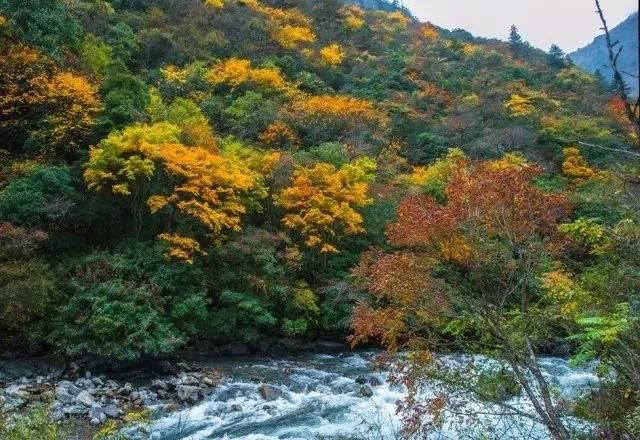 四川版独库公路！成都出发2天往返，邂逅草原野花、雪山云海美景