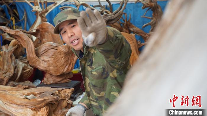 图为周治红介绍崖木雕刻。　魏建军 摄