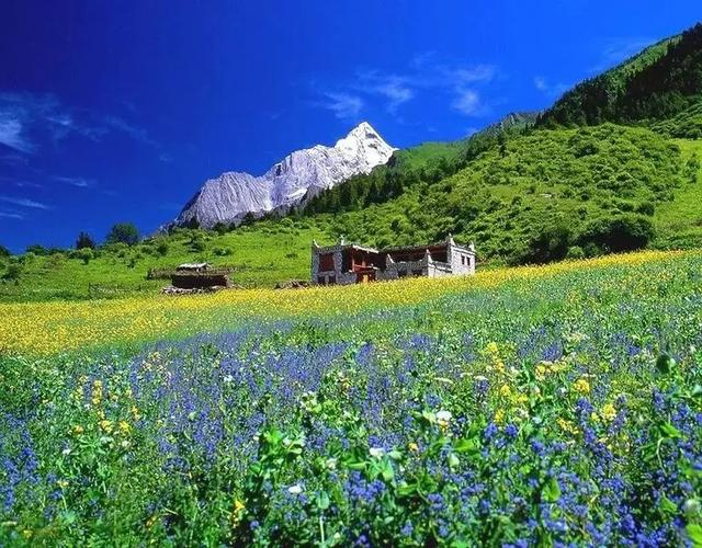 四川版独库公路！成都出发2天往返，邂逅草原野花、雪山云海美景