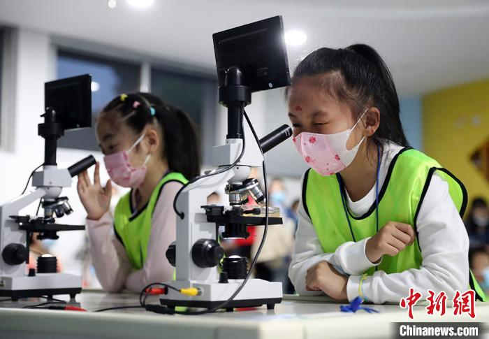 小朋友在专业老师的指导下，通过显微镜观察海洋生物。　泱波 摄