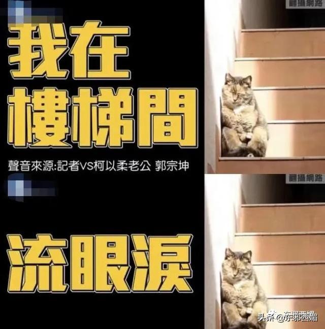 误嫁渣男还遭遇离婚冷静期乍办？只能学这位姐把自己练成金刚