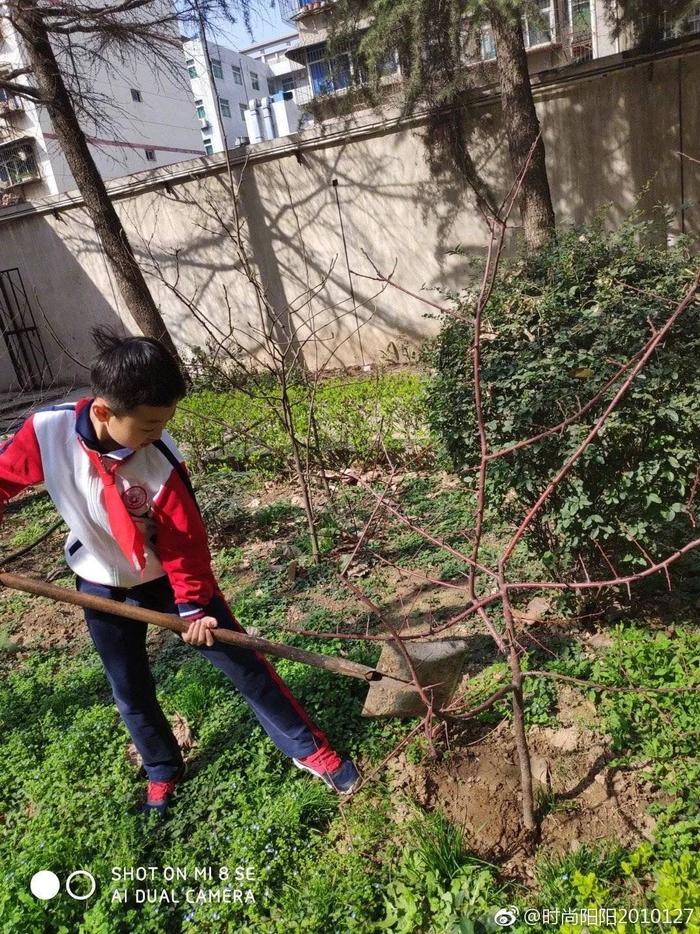 图片来源：共青团中央