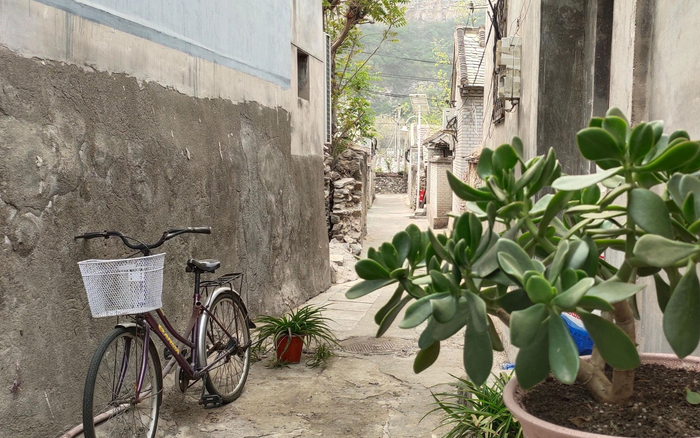 担礼村胡同。王纪辛 摄