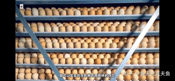 图片来源：B站up主@回形针paperclip