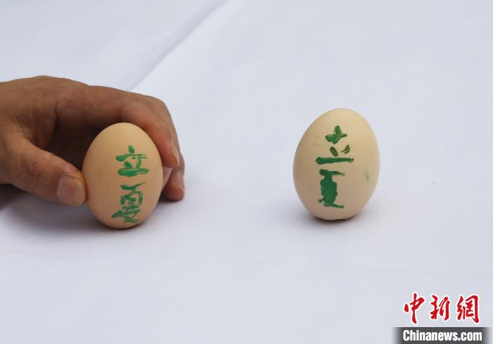 图为小朋友在鸡蛋上写上“立夏”字样。　杨孝永 摄
