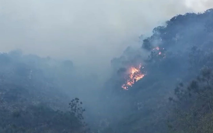 火灾现场。&nbsp; 视频截图