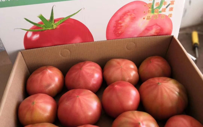 老味道西红柿不耐储运。受访者供图