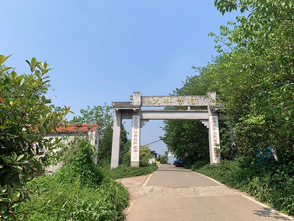 南充顺庆区大林寺村。澎湃新闻记者 庄岸 摄