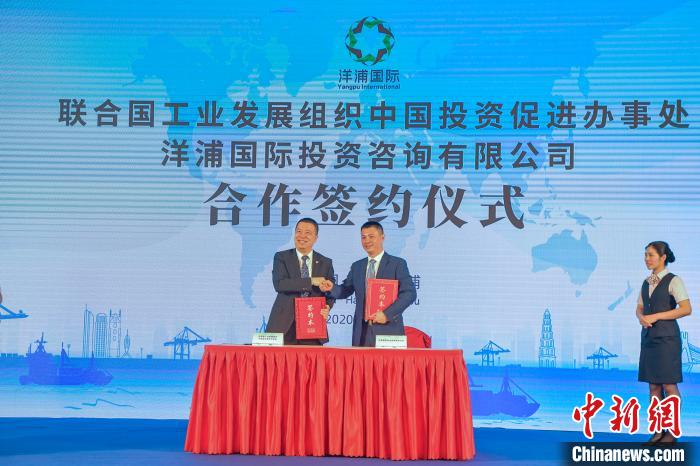 洋浦国际与多家企业签约。　骆云飞 摄