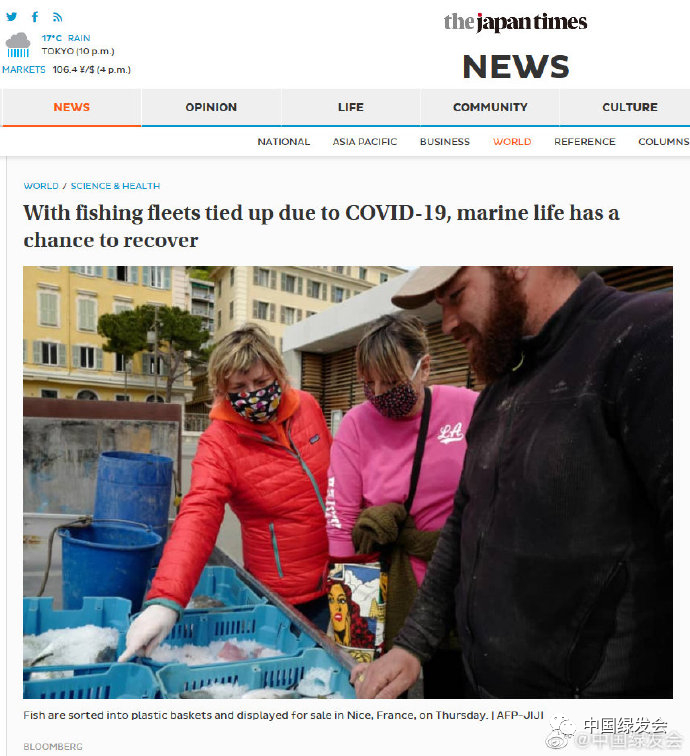  （图：日本时报对此文的转载报道）