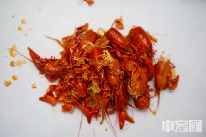 中宏网记者 富宇&nbsp;摄