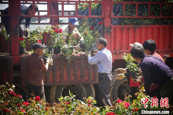 山西康培现代农业科技产业园区内一片忙碌。　晋源区新闻中心供图 