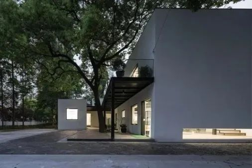 ▲保留的两棵香樟树，与建筑相互呼应，成为居民非常喜欢的纳凉空间。