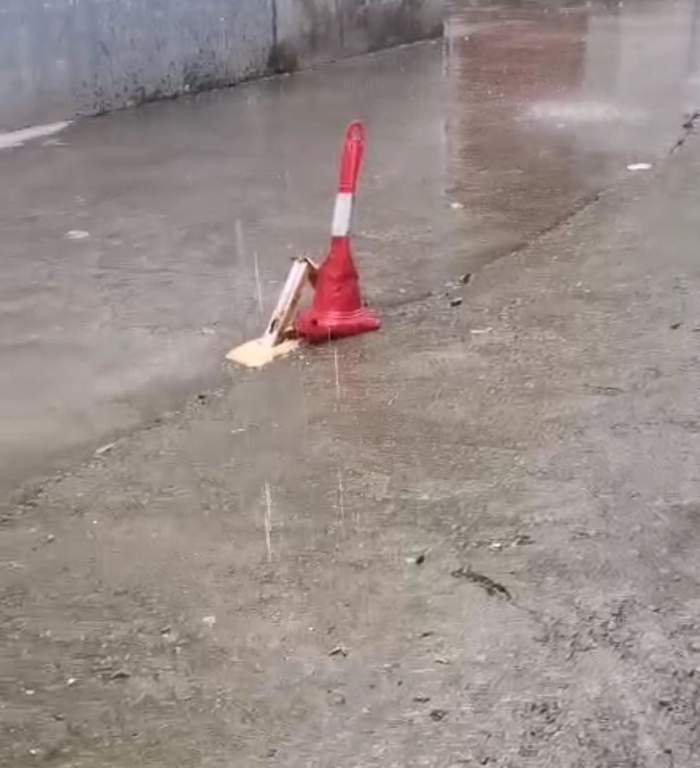 昨日（6月9日）下午，南阳地区下起了小雨。受访者供图