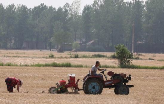 降雨之后，村民在田地中忙着播种。受访者供图