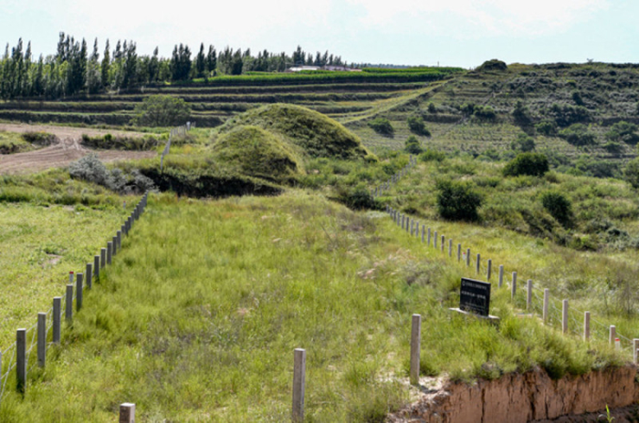 彭阳县境内的战国秦长城遗址 冯开华/摄