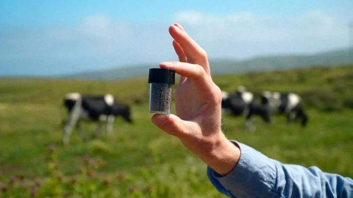 [图片来源：由Volta Greentech提供]