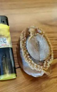 赏海景、品佳鲍！揭阳台美女帅哥主播今天下午带您走进惠来鲍鱼国际网络节