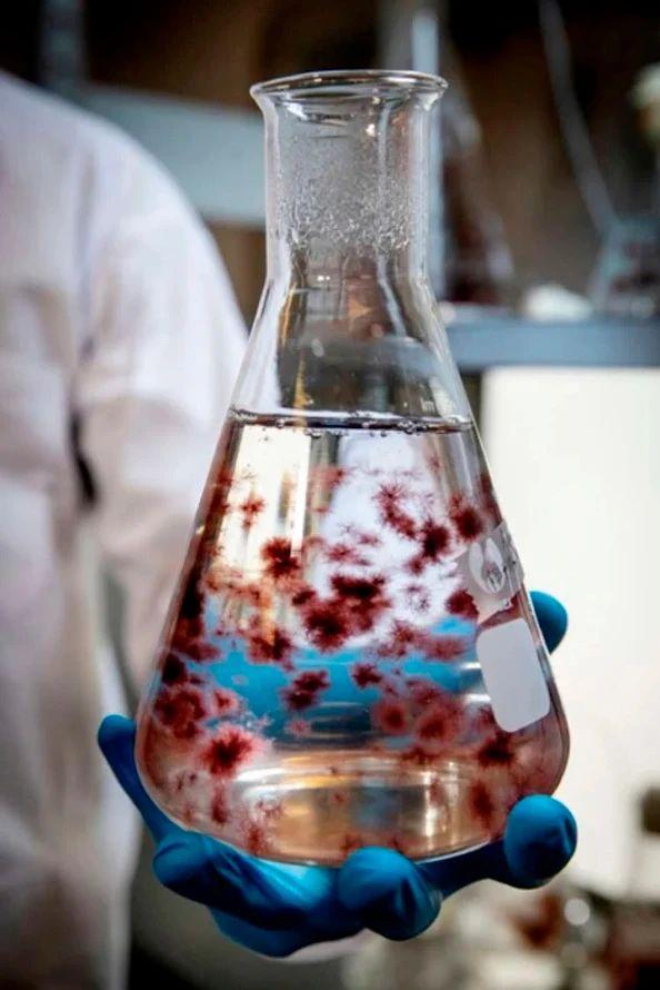 [图片来源：由Volta Greentech提供]