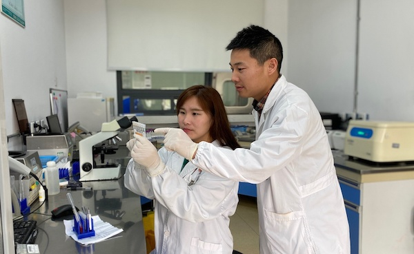 图说：医生为孕妈妈做检查 采访对象供图（下同）