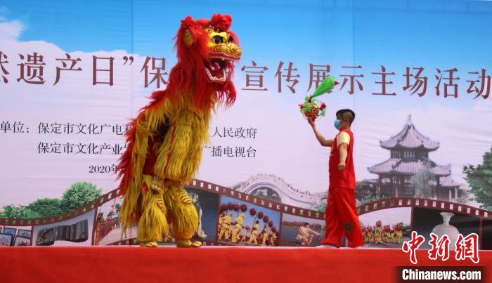 国家级“非遗”徐水北北里狮舞亮相。　徐巧明 摄