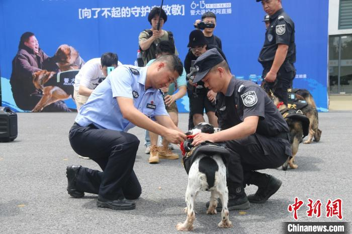 为警犬挂退役勋章。　绍兴警方提供