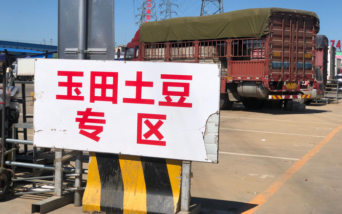 大洋路市场土豆专区。新京报记者 田杰雄 摄