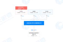 中国云铜天价商标如何自卖自买？3家企业间互为关联