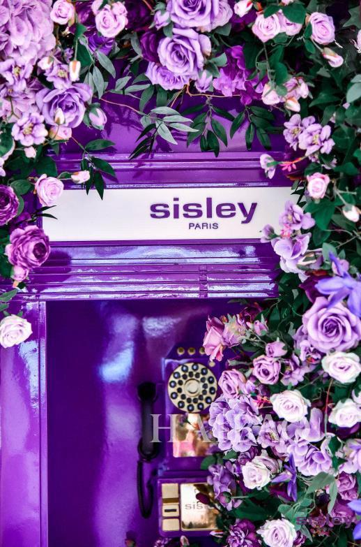Sisley法国希思黎开启今夏最in黑玫瑰秘境限时展 花开或有期 唯爱以永恒