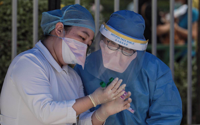  工作人员查看核酸样本。摄影/新京报记者&nbsp;王嘉宁