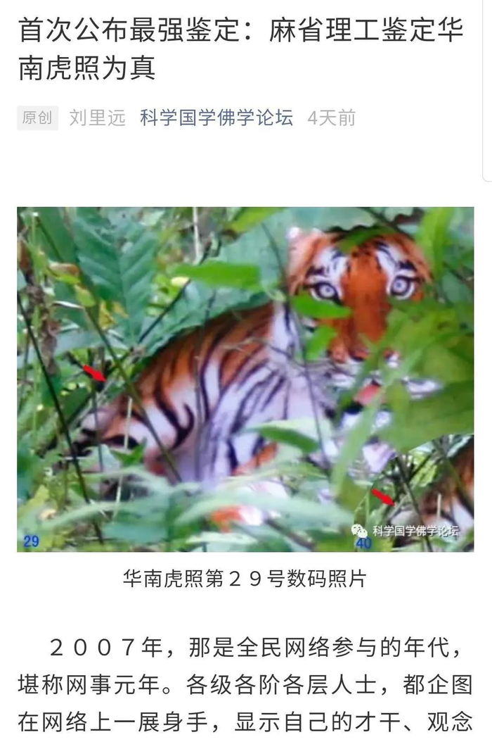 自媒体发布的相关文章截图