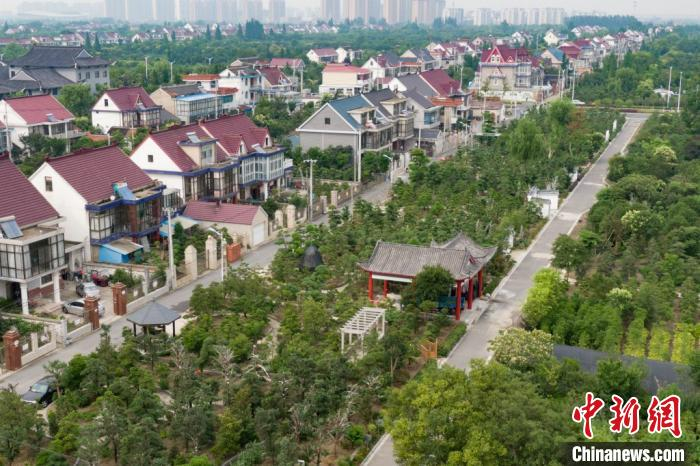 干净靓丽的小洋楼成排，门前屋后秀木奇石，顾庄村民犹如生活在画中。　泱波 摄