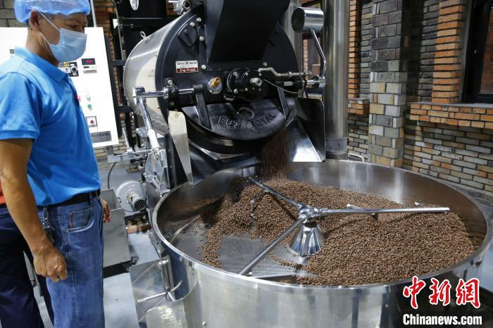 正在烘焙的咖啡豆。　记者王晓斌 摄