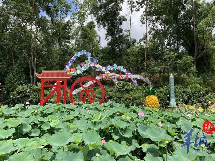 这个夏天相约番禺莲花山看全国荷花展，32组美图先睹为快！