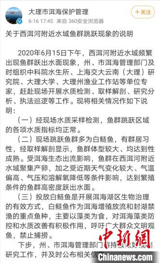 图为大理市洱海保护管理局官方微博截图。