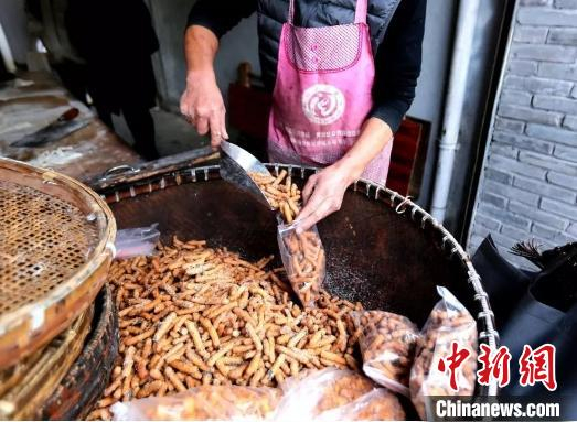油枣 黄岩西城供图