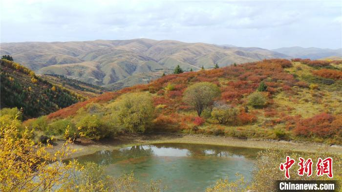 图为神座村自然风光。阿坝县委宣传部供图