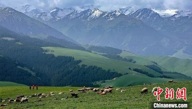 山西省大同市灵丘县空中草原。　山西省林业和草原局供图