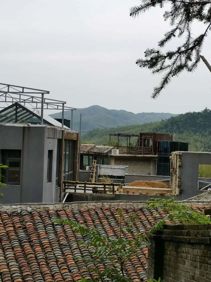 据许平介绍，此处为沈园在违建的项目。图片来源 受访者供图