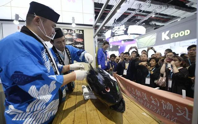 ▲进博会上，来自日本长崎鱼市株式会社的专业切鱼师傅为解体70公斤蓝鳍金枪鱼做准备。新华社资料