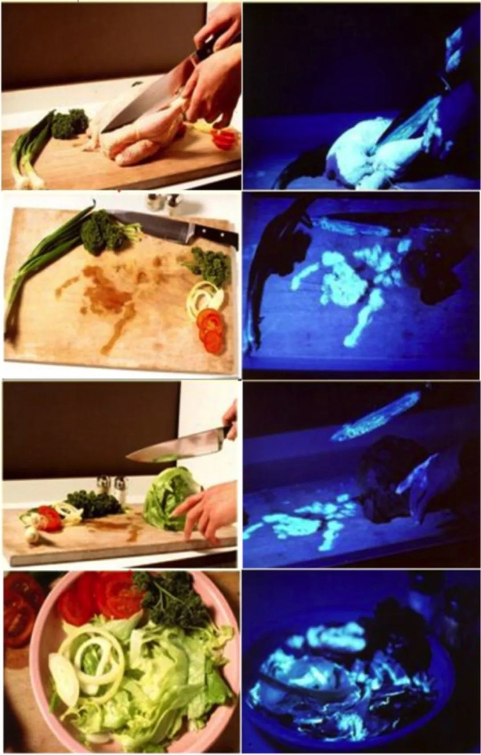 左图为正常拍摄，右图为紫外线下拍摄。荧光标记的沙门氏菌沾染鸡肉，经案板、刀具和手，污染蔬菜沙拉 | 中国食品药品检定研究院的崔生辉老师