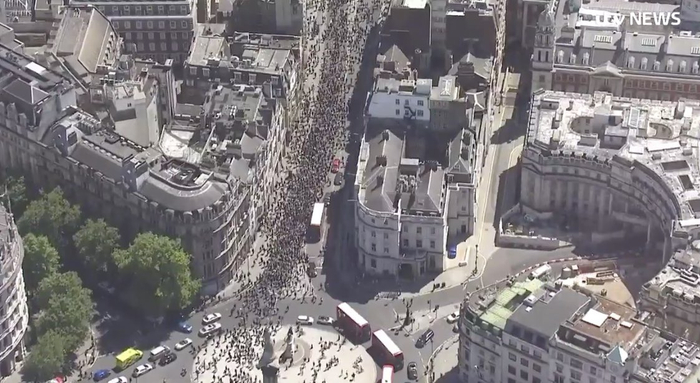 伦敦的抗议人群 视频截图