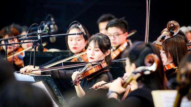 辰山植物园里奏响古典乐，多元文化消费正在乐音中回归