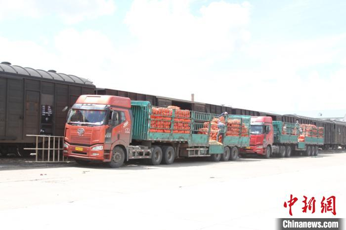 图为绥芬河站保障蔬菜品类货物顺利运输。　曲艺伟 摄