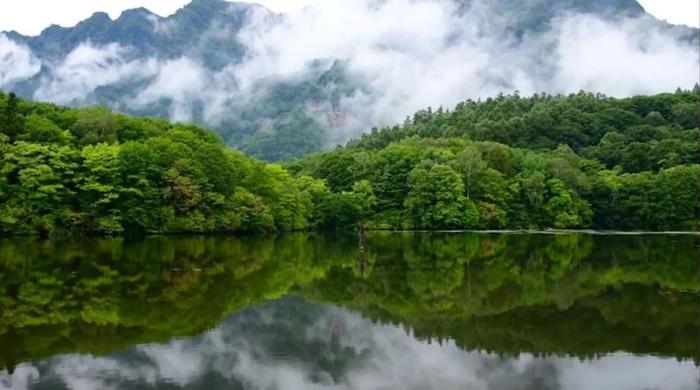 关注广州首届直播节增城分会场！区长直播带货！​超200家企业让利惠民