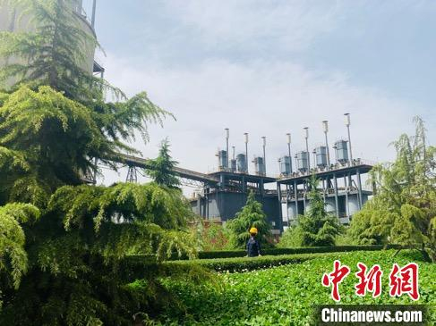 星原钢铁集团厂在林中隐，人在花中行。　任丽娜 摄