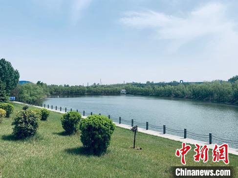 星原钢铁集团厂区内湖畔一角。　任丽娜 摄