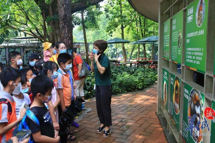 17名留守儿童“六一”圆梦广州动物园 还有300个微心愿“待签收”